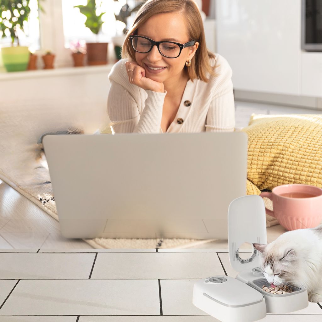 Comedero Temporalizado 2 Puestos