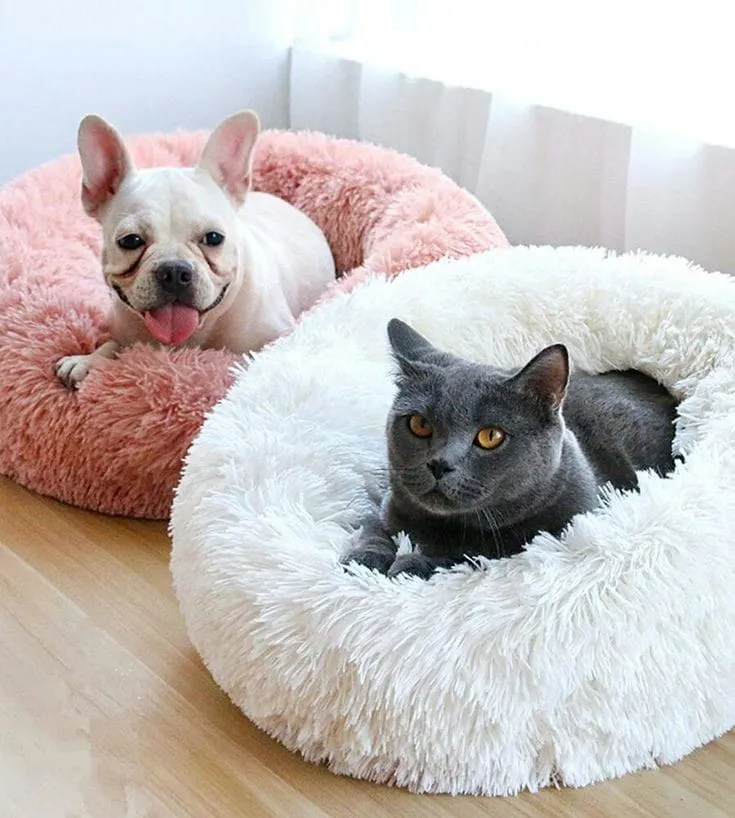 cama para mascotas 02 💤 Cama para Mascotas en Forma de Dona – ¡El descanso que tu mejor amigo se merece! 🐾 - Image 2